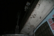 ms-nov06-31_photo.jpg